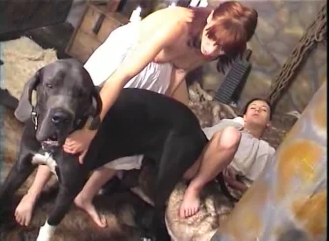 Video :Two kinky ladies got fucked in k9 dog sex